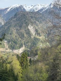 Zura cottage Svaneti - 1