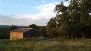 Domaine la Boucharde - Entre vignes et forêt - Trets - 2