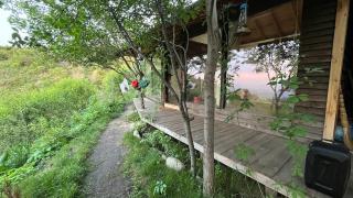The OWL HOUSE - 6