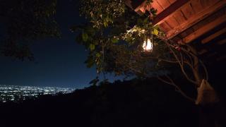The OWL HOUSE - 4