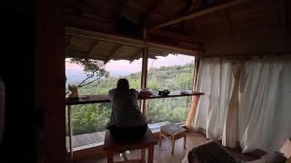 The OWL HOUSE - 2