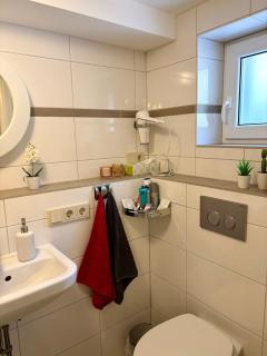 Appartement mit separatem Eingang und Stellplatz - 9