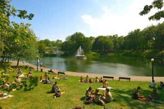 Sunny Stay in Downtown Montreal - 7