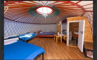 Terelj Khangai Lodge - 5
