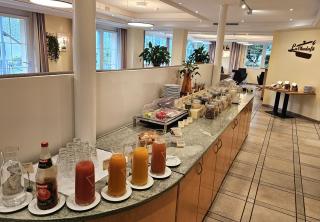 Typically Swiss Hotel Altana - Scuol - 4