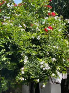 Hima lodge - 6