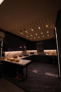The Elysian Villa 2, 2BHK, 2Kanal Area - 8