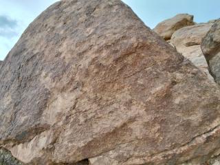 المستكشف الصغير - 8
