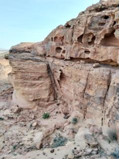 المستكشف الصغير - 3