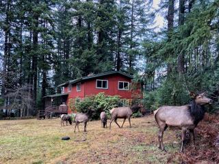 Elk Lodge - 8
