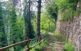 2 Bedroom Pet Friendly Home In Levigliani - 6