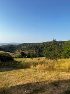 Jankovic Homeplace - 5