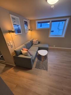 Apt near city center with northern lights view - 0