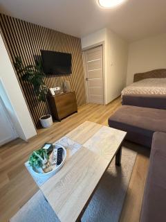 Harmony Apartments Lux - 7