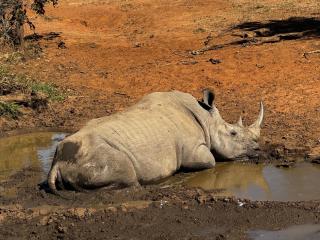 Ndzhaka Tented Camp - 5