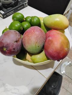 Cancun Paradiso orchard - 1
