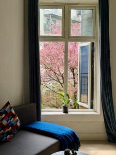 Studio apartment in the heart of Oslo - 6