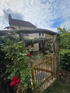 Cottage Eisvogel - 0