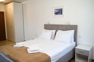 Boricho House Private Ski Chalet near Borovets - 4