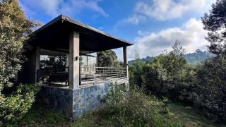 Olea House - 7