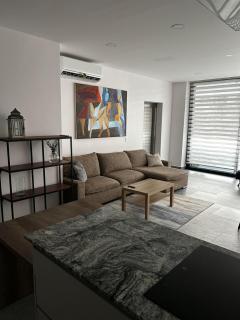 Luxurious and Private Roof Apartment in Puerto Vallarta - 5