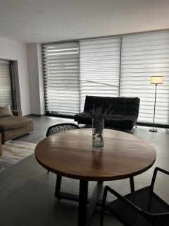 Luxurious and Private Roof Apartment in Puerto Vallarta - 3