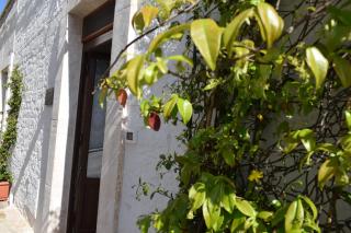Suggestiva Dimora in pietra - Arcaica Cummersa - 9