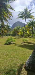 Motu Maeva Lodge - 3