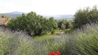 Casa Lorenzo - Panicale - 7