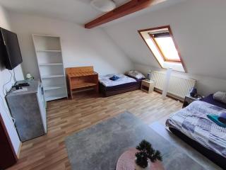 FLEX Aparts - möblierte Wohnung in Zwickau - Zwickau - 0