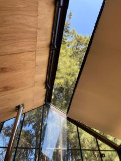 Casuarinas - 5