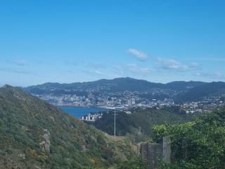 Private Room with Harbour View - 2 Minutes off SH1 - 4