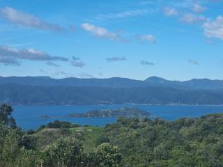 Private Room with Harbour View - 2 Minutes off SH1 - 2