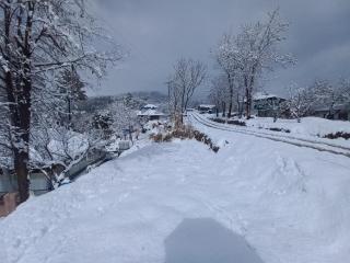 Faraz Lodges - 0