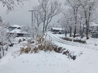 Faraz Lodges - 3