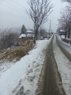 Faraz Lodges - 1