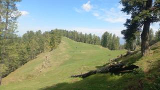 Faraz Lodges - 2