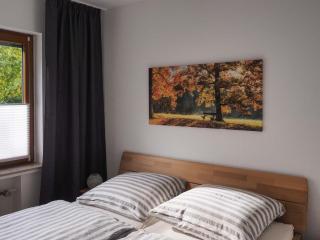 Nachhaltige-Ferienwohnung-Wisentsteig-Wandern-Waldbaden-Wohlfuehlen - 7