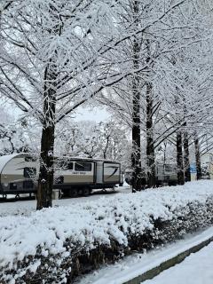 Yeoju Majorael Glamping Resort - 4