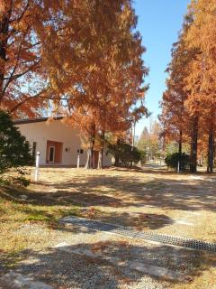 Yeoju Majorael Glamping Resort - 1