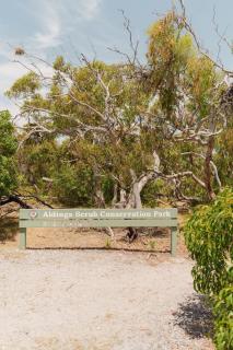 Kauwi Retreat, Aldinga Beach. A private sanctuary 500m to beach and kangaroos - 1