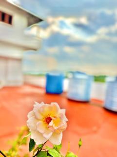 Bloom Homestay brings your whole family together - 4