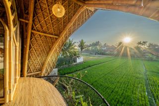 The Royal Queen Bamboo Ubud - 8