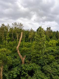 R G Homestay - 5