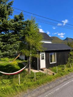 Tiny House - The LOWFO House Lofoten - 9