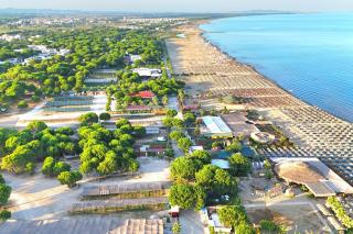 Beach Haven Hideaway 291 - Happy Rentals - 3