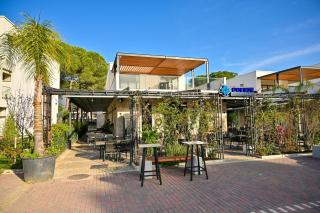 Beach Haven Hideaway 291 - Happy Rentals - 2