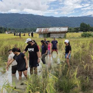 Ziro Festival Afterparty Place by Northeast Basecamp - 8