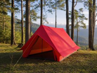 Ziro Festival Afterparty Place by Northeast Basecamp - 6