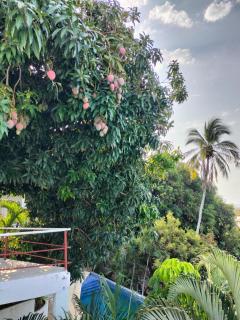 Villas cocos - 8